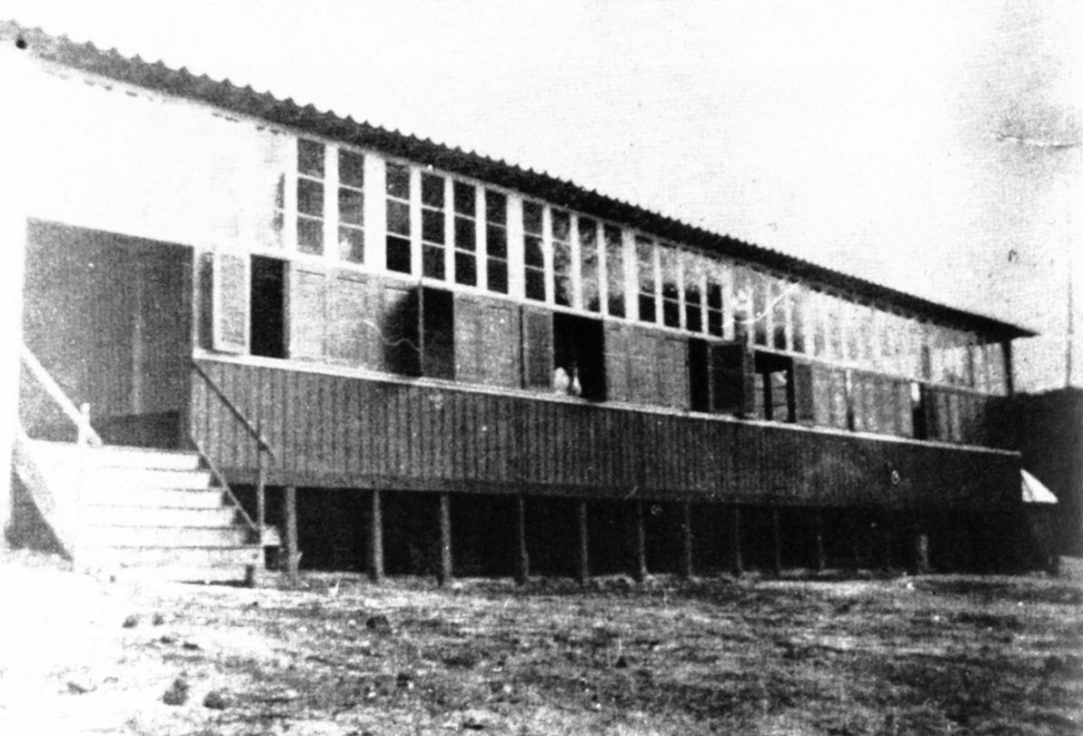 Porto Alegre, Rio Grande do Sul, 1896. Albero per immigrati